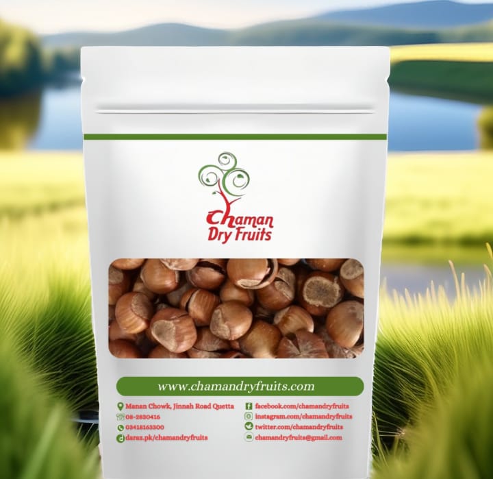 Hazelnut Plain With Shell image 0